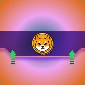 Why Is the Shiba Inu (SHIB) Price Up Today?