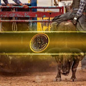 Bitcoin Likely to Enter New Bull Market If This Happens: CryptoQuant