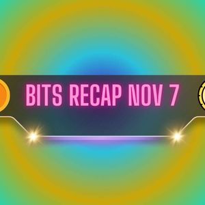 BTC, DOGE Price Explosions, Recent Binance Updates, and More: Bits Recap Nov 7