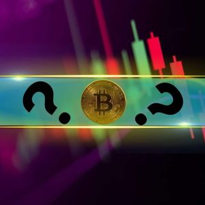 These Alts Surge by Double Digits as Bitcoin (BTC) Calms After New All-Time High (Market Watch)