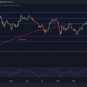 Bitcoin Price Analysis: BTC Bulls Eye $80K Following 8% Weekly Surge