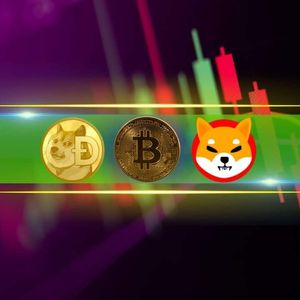 DOGE, SHIB Explode by Double Digits, BTC Charts a Fresh Peak Close to $82K (Market Watch)