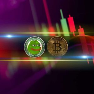 Bitcoin’s Price Choppy at $91K, PEPE Dumps by 7% Daily (Market Watch)