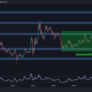 Ripple Price Analysis: Where Is XRP Headed Following Massive Crash and Swift Rebound?