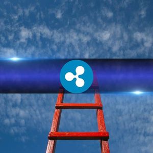 6 Signs Ripple (XRP) Is About to Make Another Colossal Splash