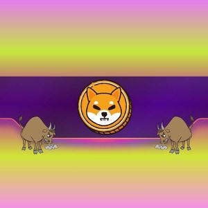 3 Reasons Why the Shiba Inu (SHIB) Price May Rally in the Near Future