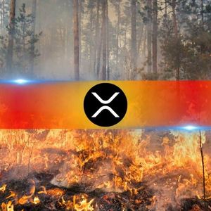 Ripple Donates $100K in XRP for California Wildfire Relief Efforts