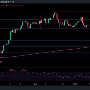 Bitcoin Price Analysis: Warning Signs of a BTC Correction Ahead