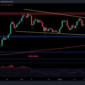 Cardano Price Analysis: ADA’s Path Forward After 8% Daily Correction