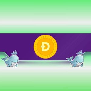 Dogecoin Whales Make a Huge Move: Is DOGE’s Price Poised for a Rally?