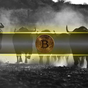 3 Bullish Signs for Bitcoin Following Recent Crash