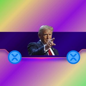 Did Donald Trump Endorse Ripple (XRP)? The Crypto Community Reacts