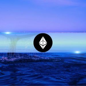 1.1M in ETH: What Are Ethereum Whales Preparing For?