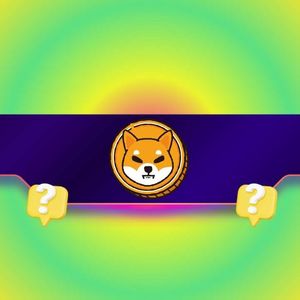 Key Shiba Inu Metric Skyrockets by 2,000%: SHIB Rally Incoming?