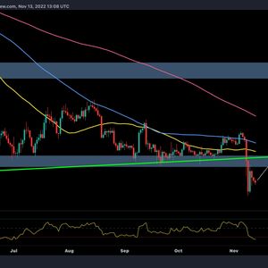 Was This Capitulation or More Pain Ahead for BTC Following the FTX Bankruptcy? (Bitcoin Price Analysis)