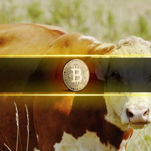 Bitcoin (BTC) Bull Cycle May Be Over: CryptoQuant CEO Warns