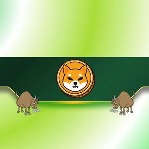 3 Reasons Why the Shiba Inu (SHIB) Price Might Rally Soon