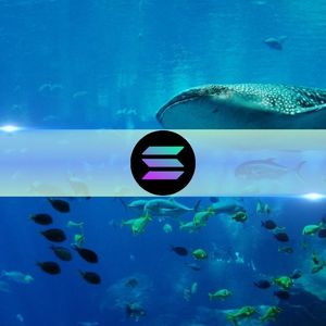 Solana Whales Dump SOL Amid Major Token Unlock