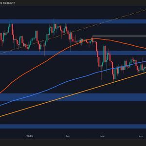 Bitcoin Price Analysis: Final Key Resistance Level Before New All-Time High