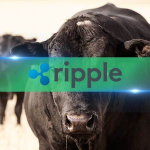 4 Mouthwatering Signs Ripple’s (XRP) Price Is About to Rip in May