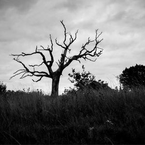 Crypto Glut Turns to Graveyard as 1.8M Tokens Died in Q1 2025