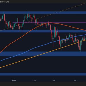 Bitcoin Price Analysis: BTC Approaches $97K Resistance Amid Emerging Warning Signals
