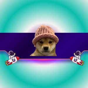 Dogwifhat (WIF) Flips Floki (FLOKI) After 45% Daily Pump: What Are the Next Targets?