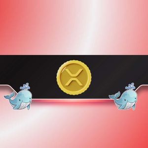 XRP Price Suddenly Drops by 5% as Ripple Whales Offload Tokens