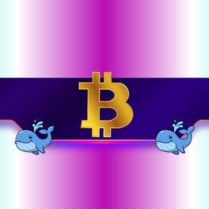 20,000 BTC Purchased in Just 2 Days by Whales: How Will Bitcoin’s Price React?