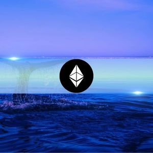 Ethereum Whale Snaps Up $127M in ETH Amid Market Panic