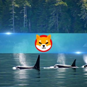 Shiba Inu (SHIB) Leads Whale Accumulation Wave Amidst Rising Geopolitical Tensions