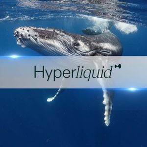 Hyperliquid’s Elite Traders Rack Up Massive Profits Amid HYPE Token Surge
