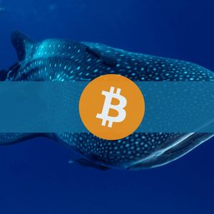 Bitcoin Whales Underwater as Markets Mirror Late 2018: Glassnode