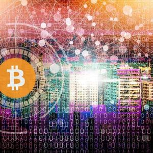Bitcoin (BTC) Fever Spreads: DDC and Others Join the Corporate BTC Craze