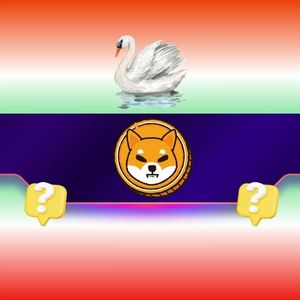 Are These the Meme Coins to Hold When a White Swan Event Occurs?