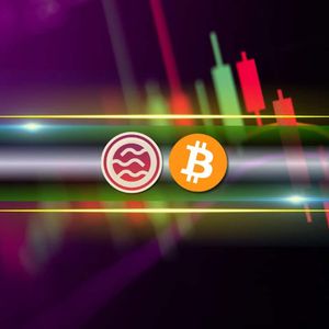 Crypto Markets Bounce, SEI Explodes by 41% Daily, But Warning Signs Quickly Pop (Market Watch)