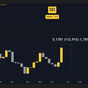 Why is the SEI Price Up Today