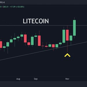 LTC Leads Market Recovery with 29% Gains in 24 Hours (Litecoin Price Analysis)