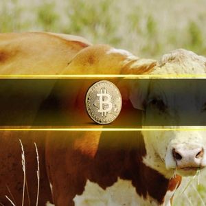 Last Time Bitcoin Did This, the Price Went From $60K to $100K