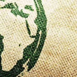 Africa Doesn’t Need Another Wallet App: It Needs a Seat at the Table (Op-ed)