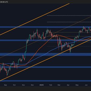 Bitcoin Price Analysis: Is a Correction Coming or Will BTC Break $120K Next?