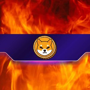 Shiba Inu (SHIB) Burn Rate Explodes by 2,000% Weekly: Further Price Rally Incoming?
