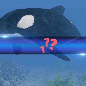 4 Cryptocurrencies to Watch as Smart Whale Opens Massive Long Position