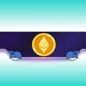 220,000 ETH in 48 Hours: Ethereum Price Rally on the Way?