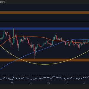 Ripple Price Analysis: XRP Must Maintain This Level to Avoid a Major Correction