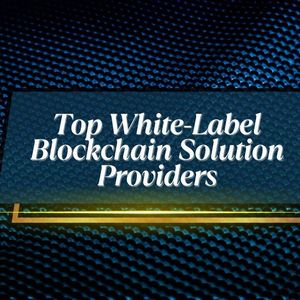 Top 10 White Label Blockchain Solution Providers