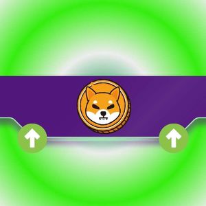 Shiba Inu (SHIB) Eyes 156% Rally as Governance Tensions Mount