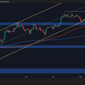 Bitcoin Price Analysis: Classic Bull Trap Emerges After BTC’s Record High