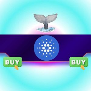 100,000,000 ADA Snapped Up by Whales in 24H: What’s Next for Cardano’s Price?