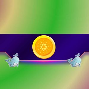 Cardano Whales Go on Massive Accumulation Spree as ADA Price Soars 15%